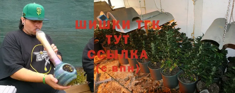 Бошки марихуана индика  Городовиковск 